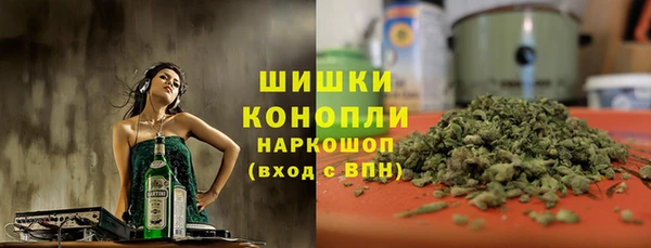 индика Алексеевка