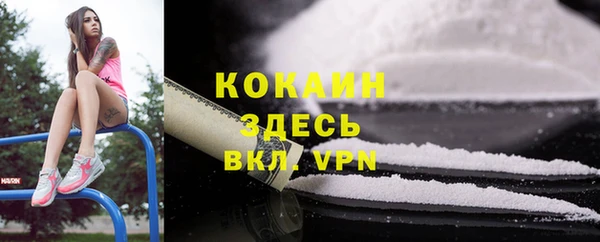 индика Алексеевка