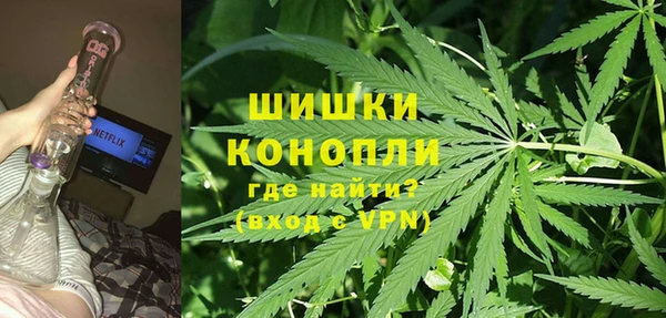 индика Алексеевка
