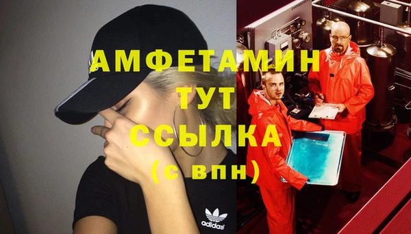 метадон Алексин