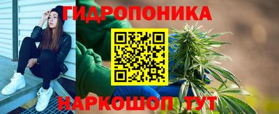 дживик Берёзовский