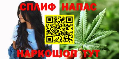 дживик Берёзовский