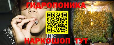 дживик Берёзовский