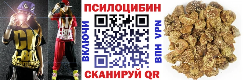 мега онион купить цена Апрелевка Псилоцибиновые грибы прущие грибы