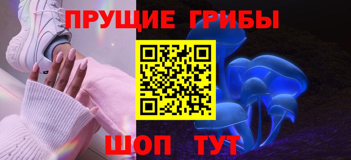 Псилоцибиновые грибы Psilocybine cubensis  Вход с VPN  Апрелевка 